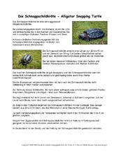 Schnappschildkröte-Steckbrief.pdf